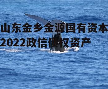 山东金乡金源国有资本2022政信债权资产