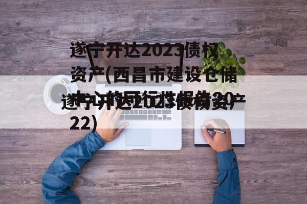 遂宁开达2023债权资产(西昌市建设仓储中心的可行性报告2022)