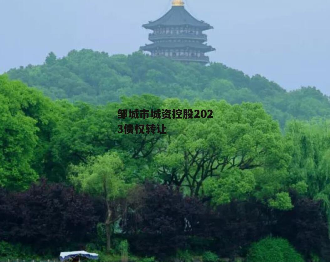 邹城市城资控股2023债权转让