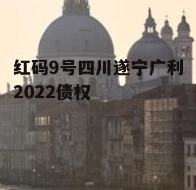 红码9号四川遂宁广利2022债权