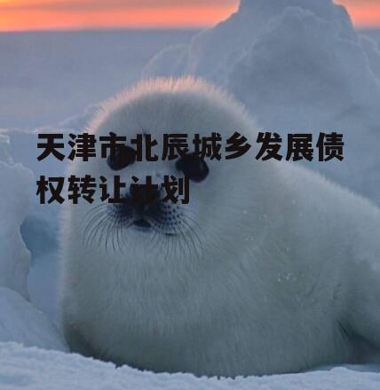 天津市北辰城乡发展债权转让计划