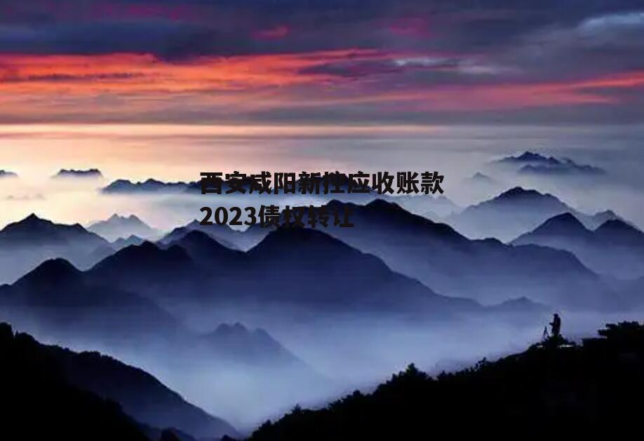 西安咸阳新控应收账款2023债权转让