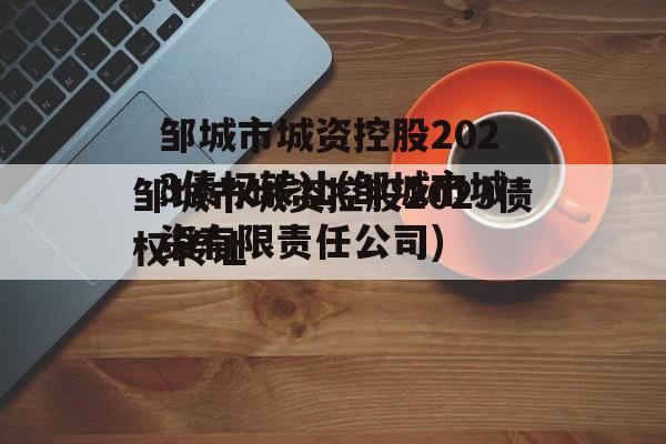 邹城市城资控股2023债权转让(邹城市城资有限责任公司)