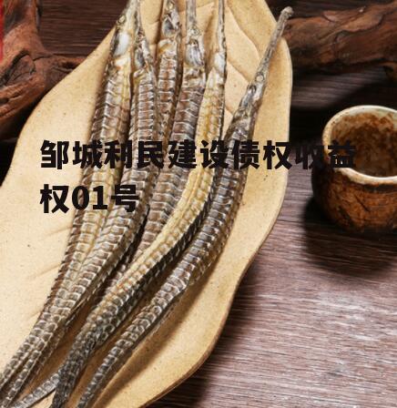 邹城利民建设债权收益权01号