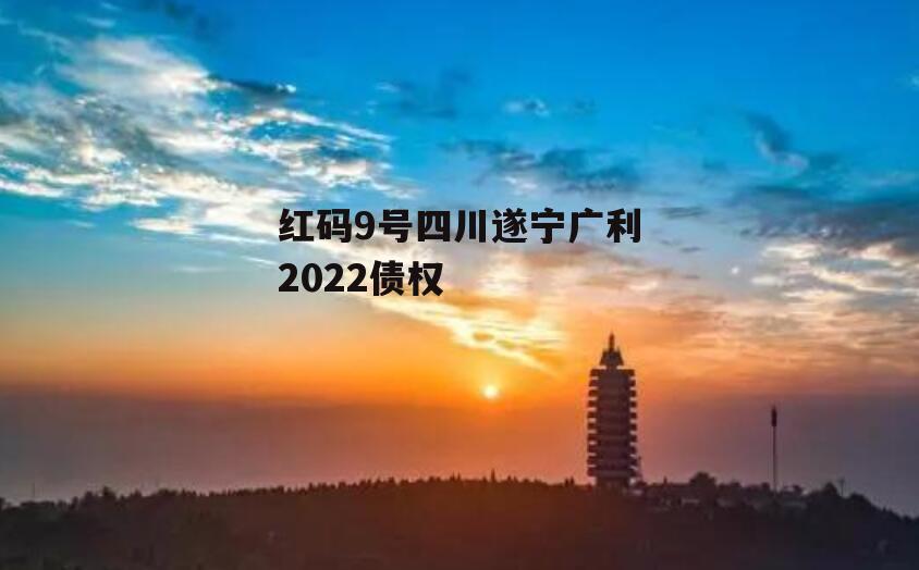 红码9号四川遂宁广利2022债权