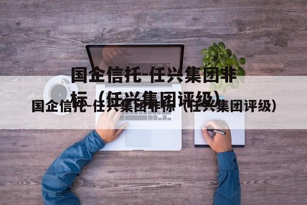 国企信托-任兴集团非标（任兴集团评级）