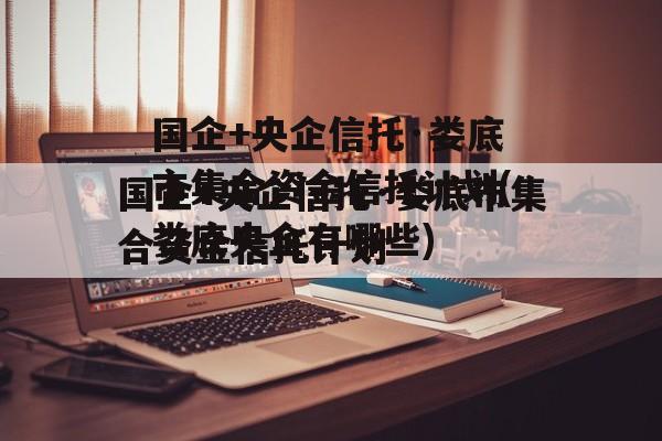 国企+央企信托·娄底市集合资金信托计划(娄底央企有哪些)