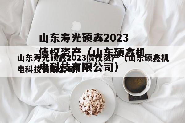 山东寿光硕鑫2023债权资产（山东硕鑫机电科技有限公司）