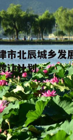 天津市北辰城乡发展债权转让计划
