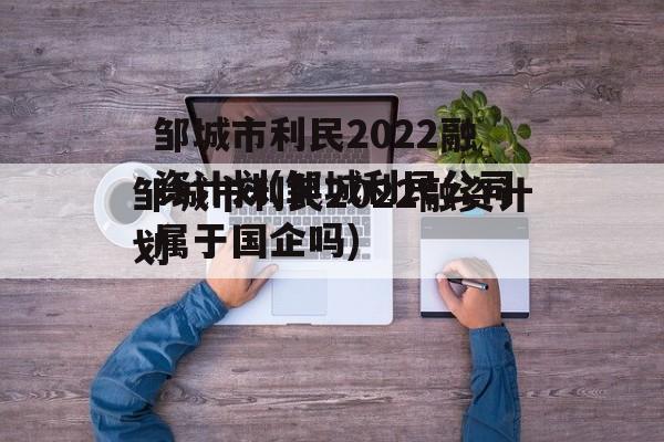 邹城市利民2022融资计划(邹城利民公司属于国企吗)