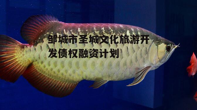 邹城市圣城文化旅游开发债权融资计划