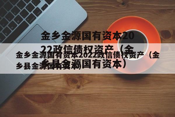 金乡金源国有资本2022政信债权资产（金乡县金源国有资本）