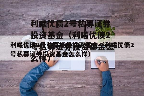 利曦优债2号私募证券投资基金（利曦优债2号私募证券投资基金怎么样）
