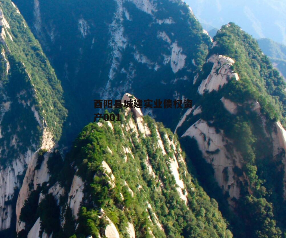 酉阳县城建实业债权资产001