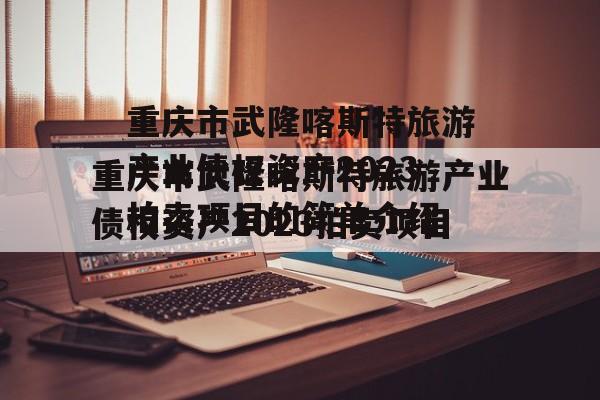 重庆市武隆喀斯特旅游产业债权资产2023拍卖项目的简单介绍