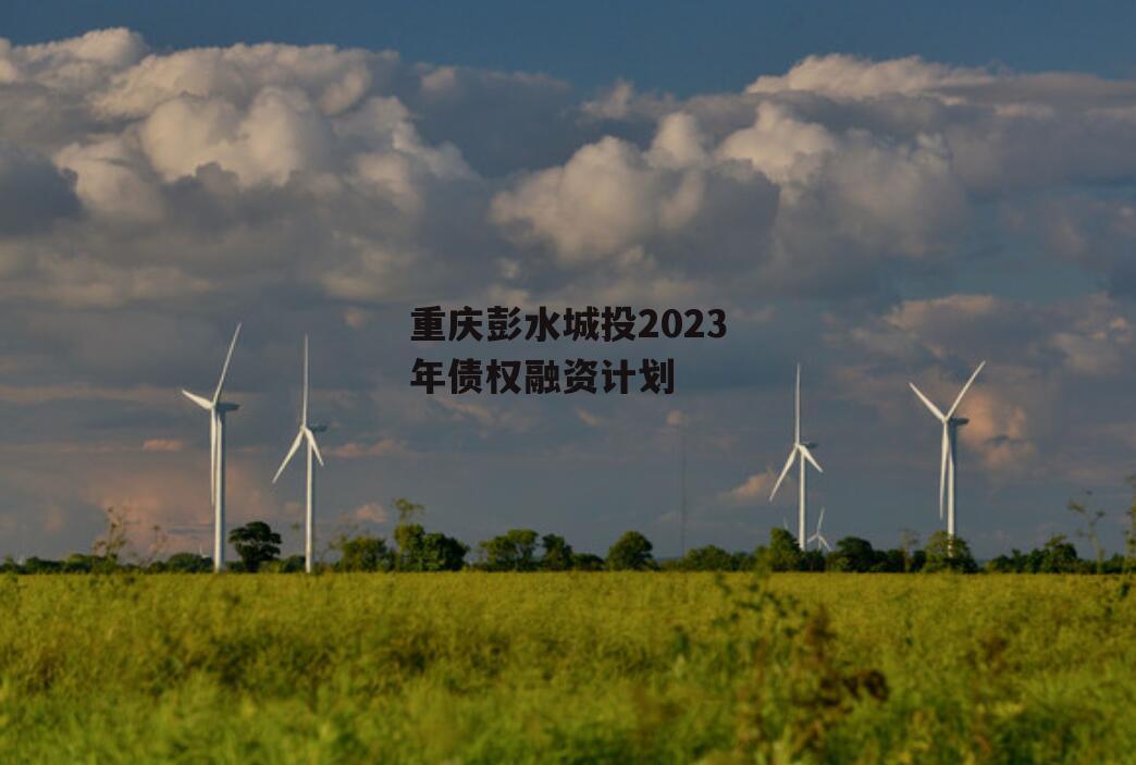 重庆彭水城投2023年债权融资计划