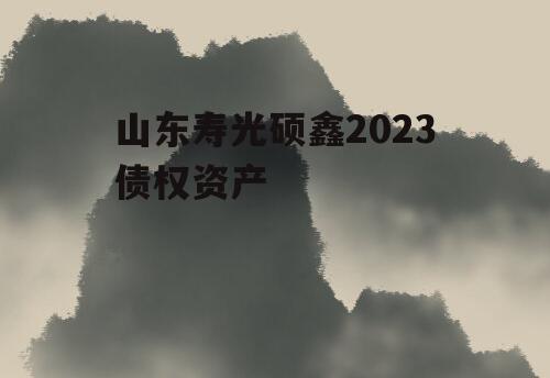 山东寿光硕鑫2023债权资产