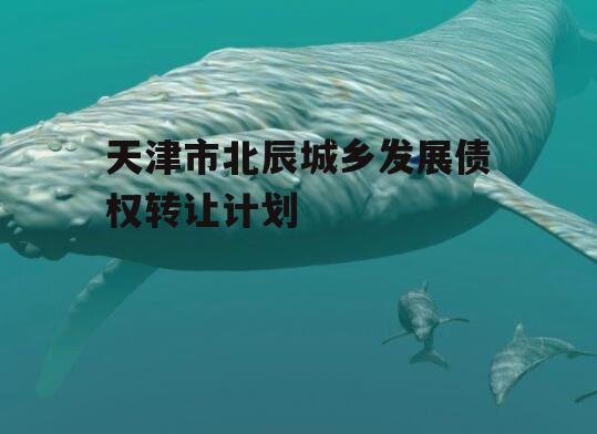 天津市北辰城乡发展债权转让计划