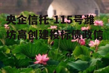 央企信托-115号潍坊高创建投标债政信