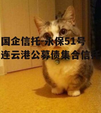 国企信托-永保51号连云港公募债集合信托
