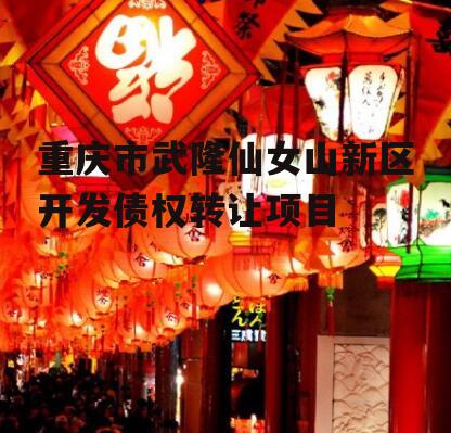 重庆市武隆仙女山新区开发债权转让项目