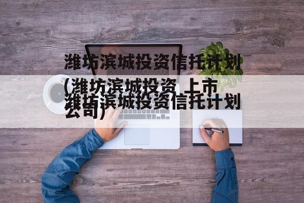 潍坊滨城投资信托计划(潍坊滨城投资 上市公司)