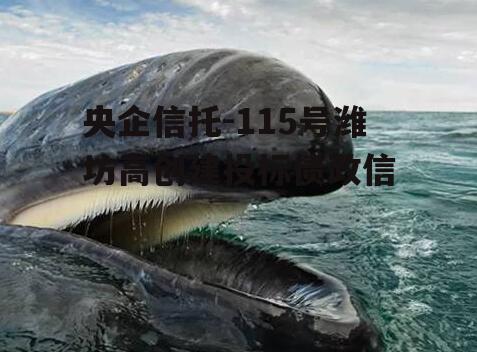 央企信托-115号潍坊高创建投标债政信