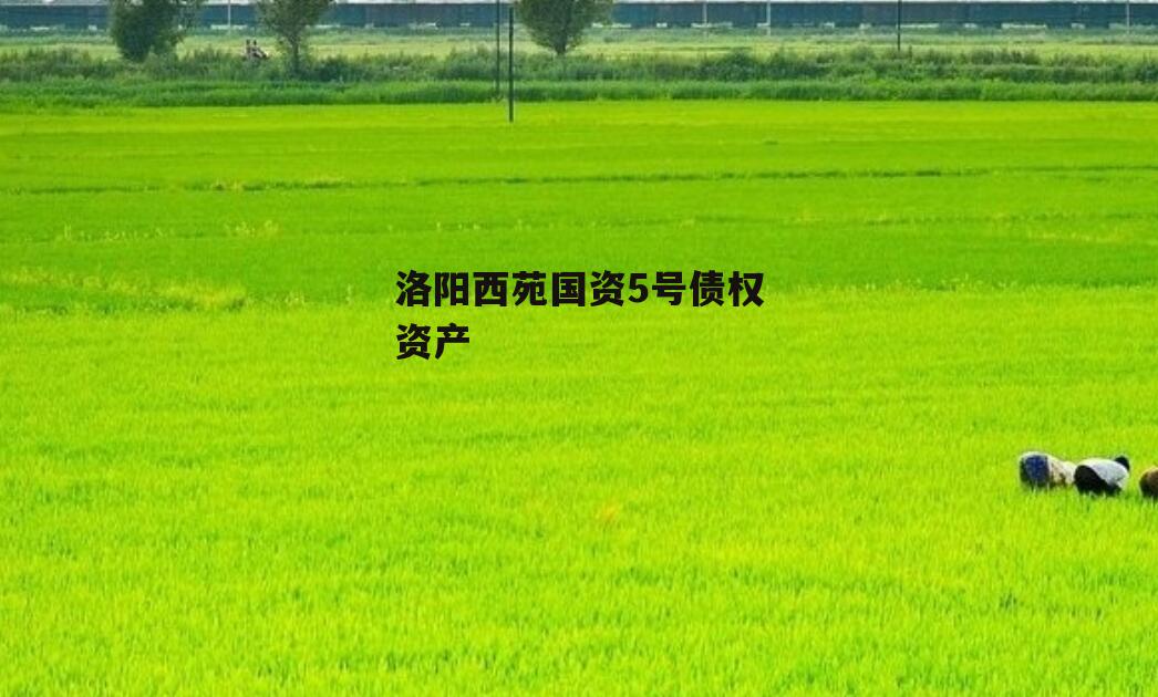 洛阳西苑国资5号债权资产