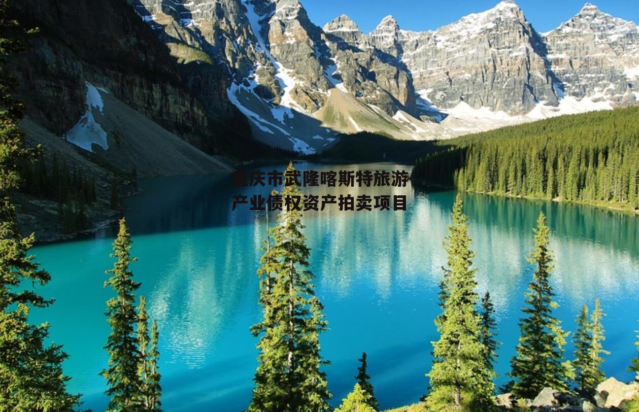 重庆市武隆喀斯特旅游产业债权资产拍卖项目