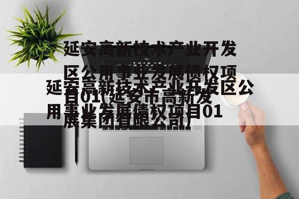 延安高新技术产业开发区公用事业发展债权项目01(延安市高新发展集团有限公司)