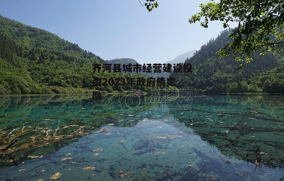齐河县城市经营建设投资2023年政府债定融