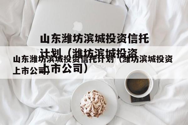 山东潍坊滨城投资信托计划（潍坊滨城投资 上市公司）