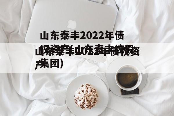 山东泰丰2022年债权资产(山东泰丰控股集团)