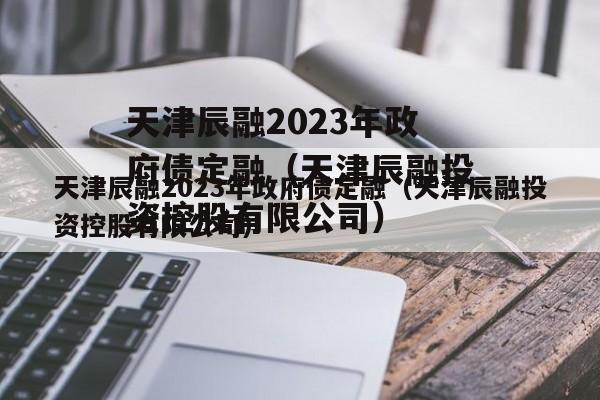 天津辰融2023年政府债定融（天津辰融投资控股有限公司）
