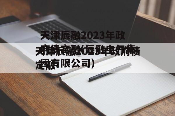 天津辰融2023年政府债定融(辰融电气集团有限公司)