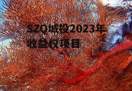 SZQ城投2023年收益权项目