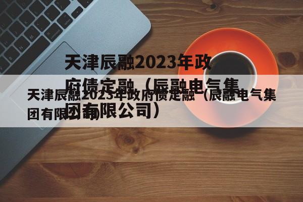 天津辰融2023年政府债定融（辰融电气集团有限公司）