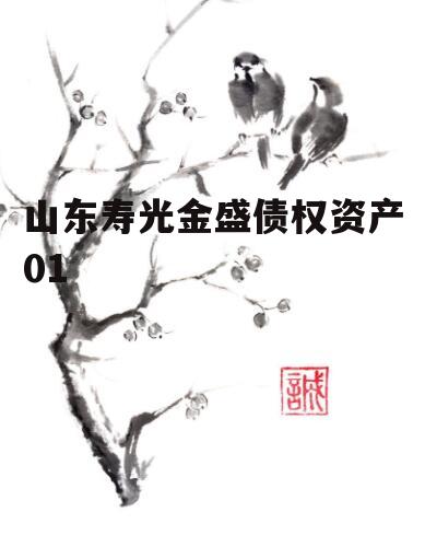 山东寿光金盛债权资产01