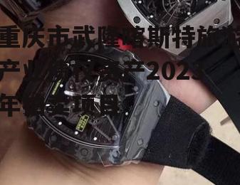 重庆市武隆喀斯特旅游产业债权资产2023年拍卖项目