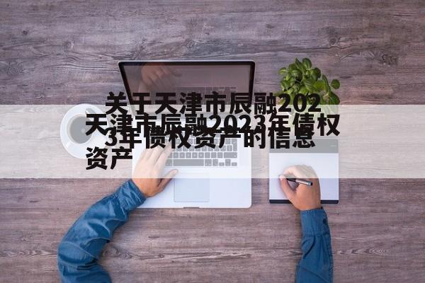 关于天津市辰融2023年债权资产的信息