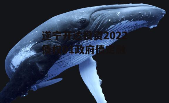 遂宁开达投资2022债权01政府债定融