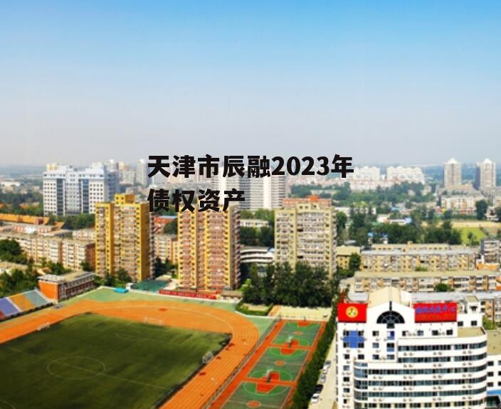 天津市辰融2023年债权资产