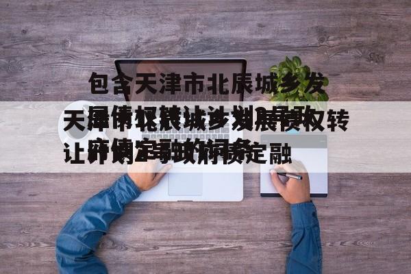 包含天津市北辰城乡发展债权转让计划2号政府债定融的词条