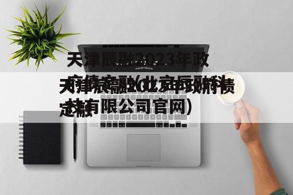 天津辰融2023年政府债定融(北京辰融科技有限公司官网)
