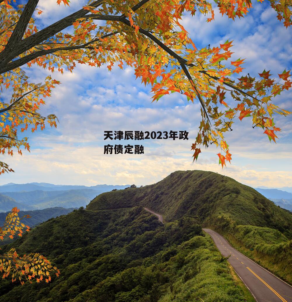 天津辰融2023年政府债定融