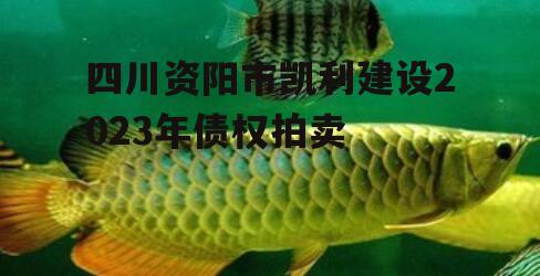 四川资阳市凯利建设2023年债权拍卖