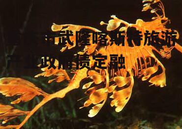 重庆市武隆喀斯特旅游产业政府债定融