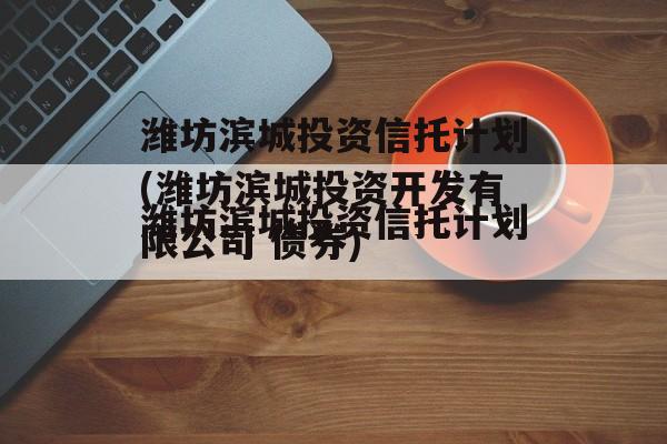 潍坊滨城投资信托计划(潍坊滨城投资开发有限公司 债券)