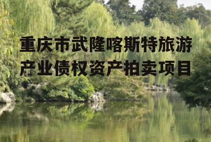 重庆市武隆喀斯特旅游产业债权资产拍卖项目
