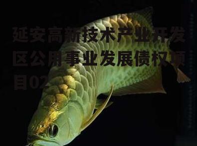 延安高新技术产业开发区公用事业发展债权项目02